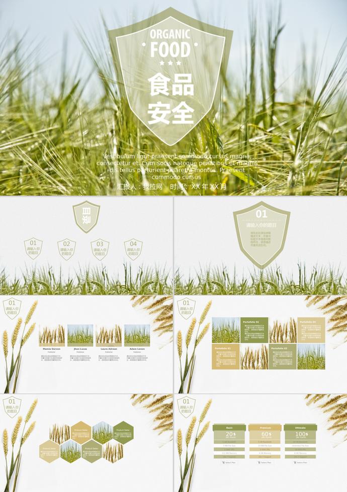 小清新绿色麦子食品安全PPT模板