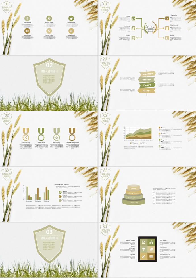 小清新绿色麦子食品安全PPT模板-1