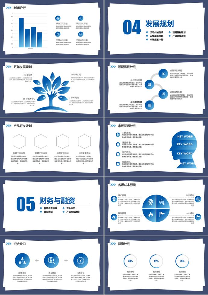 项目策划商业计划书PPT模板-2