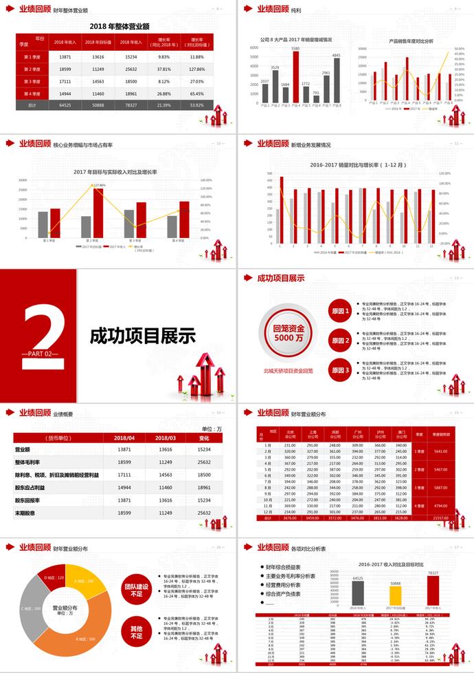 财务分析报告PPT模板-1