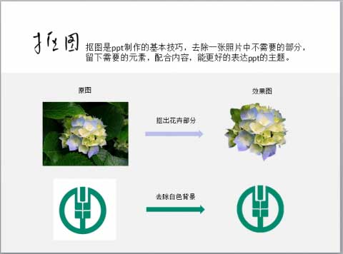 PPT2010实现快捷的抠图（1）