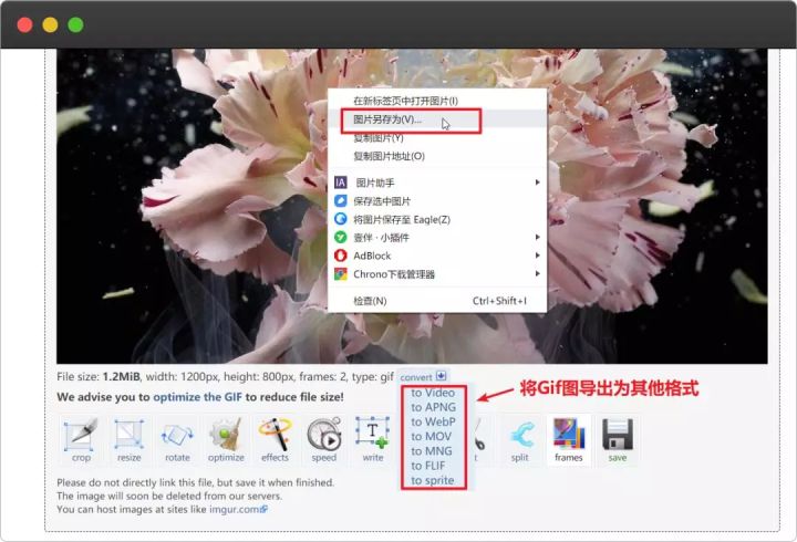 免费的GIF压缩工具,你值得拥有(4)