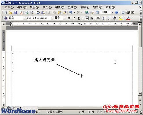 Word2003文档窗口中定位插入点光标位置的详细步骤