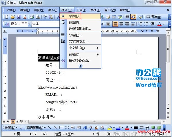 Word中设置自己可以预览而打印不出来的文字（2）