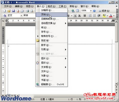 Word2003文档中插入页码教程(2)