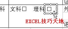 Excel2003打钩方框的制作实例教程(8)