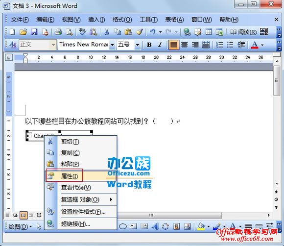 Word2003使用VBA功能制作选择题（8）