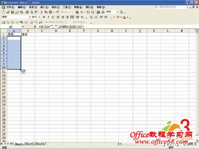 处理Excel2003序列号的四种方法(9)