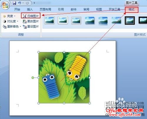 word中插入的图片只有白色边框或显示不全（1）