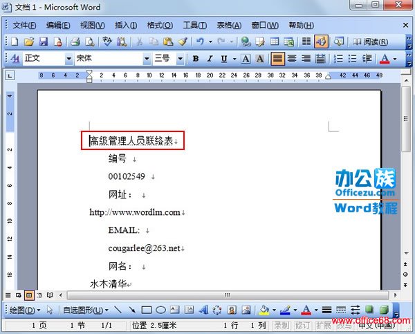Word中设置自己可以预览而打印不出来的文字（10）