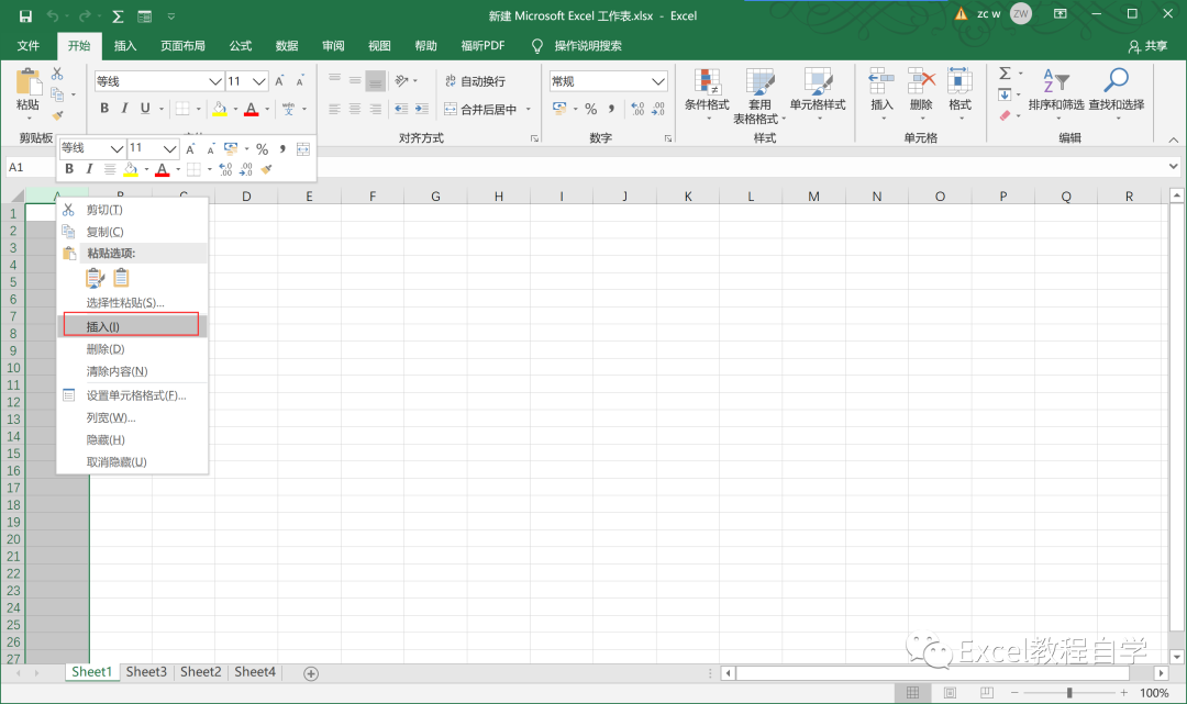 【Excel表格制作教程】excel工作表行列操作(一)(1)