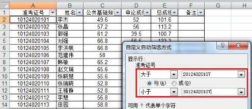 excel筛选怎么用 才能快速定位需要的信息（3）