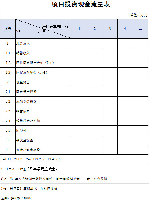 项目投资现金流量表