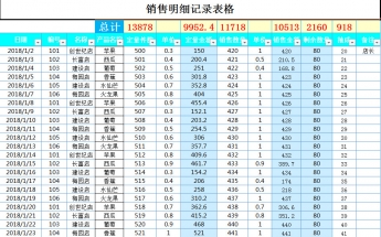 销售明细记录表格