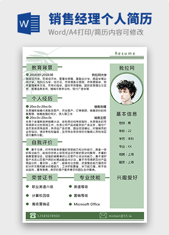 淡绿销售经理个人简历模板