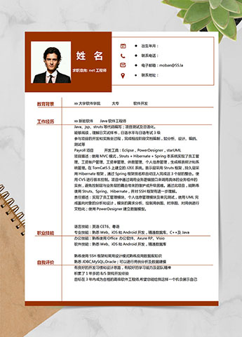 枣红色简约风net工程师应届生简历模板