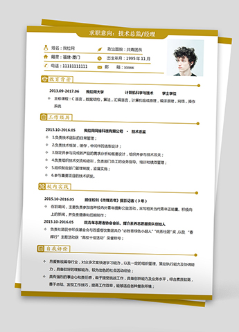 黄色大气算法技术负责人简历模板