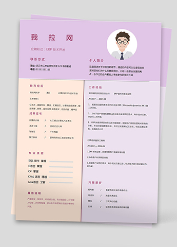 彩色精美软件开发技术负责人简历