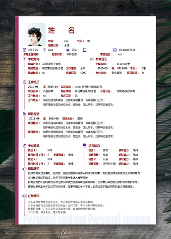 红白底应届生网站营运简历模板