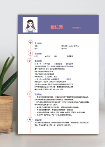 紫色系简洁风软件设计师应届生简历