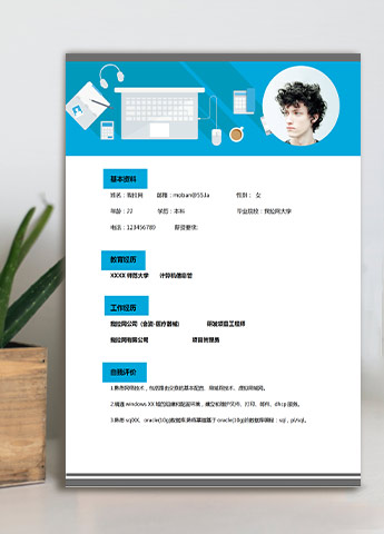 蔚蓝色大气风计算机编程师应届生简历