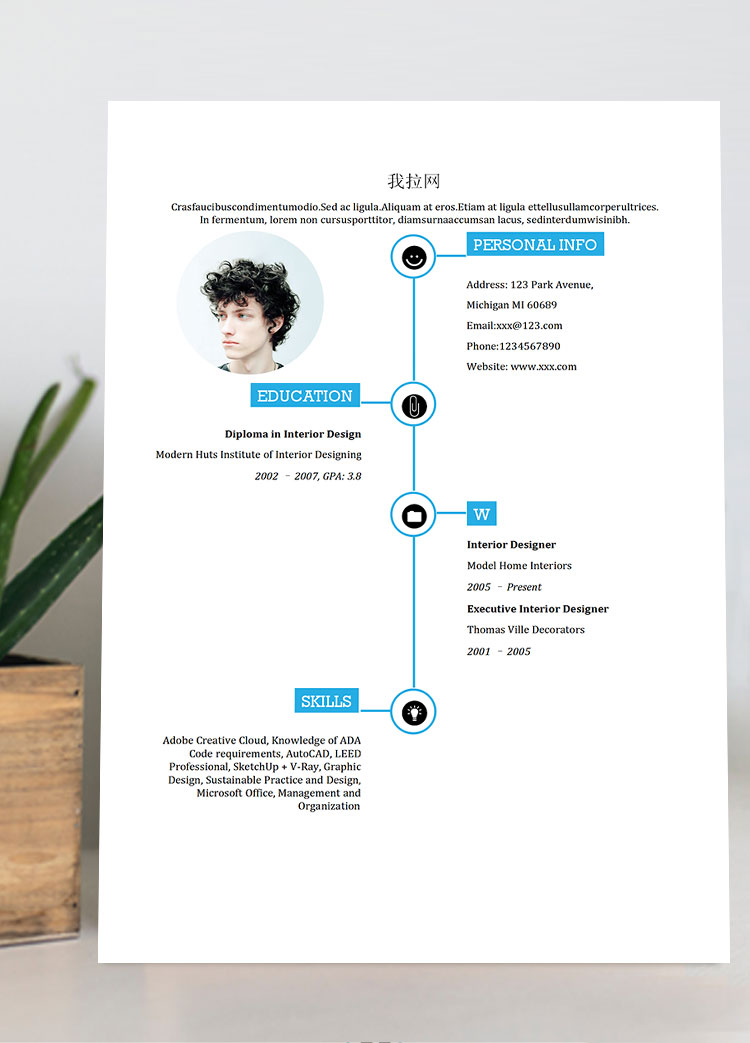 创意时间轴通用英文简历