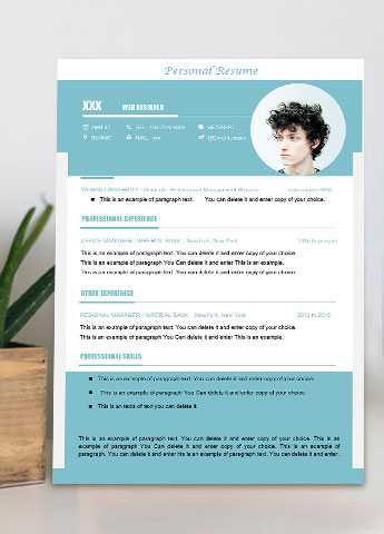 浅蓝色大气网页设计师英文简历