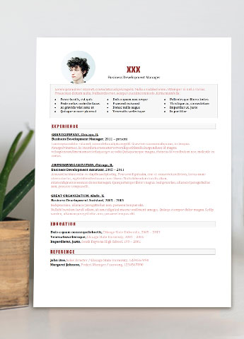 粉色简约业务开发经理英文简历