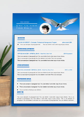 蓝色大气网页设计师英文简历模板