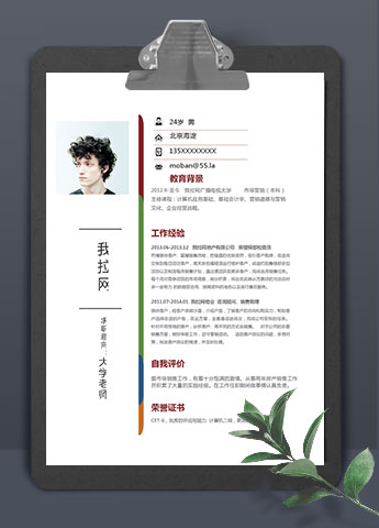 简约实用风格大学老师个人简历模板Word版本