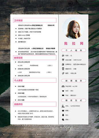 粉色线条风景观设计师简历模板