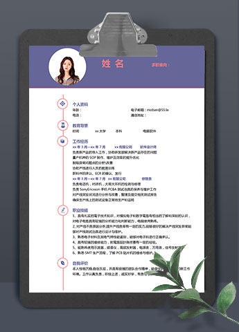 茄皮紫现代风软件设计师个人简历模板