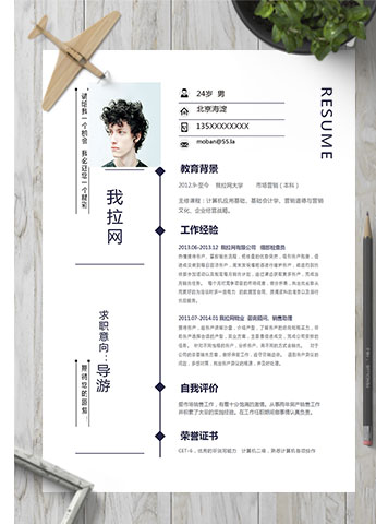 藏青色简约大方导游个人简历模板