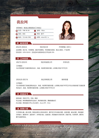 枣红色经典风格制造业客服简历模板