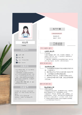 灰粉色时尚电器客服简历模板