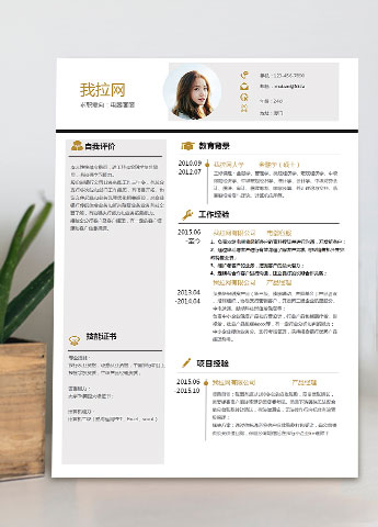 金色创意风电器客服简历模板