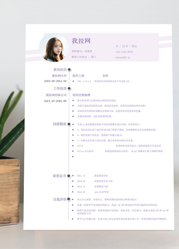 浅紫色创意风电器客服简历模板