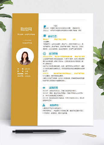 黄色系现代风房地产资产管理简历模板