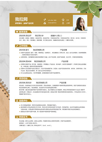 土色时尚产品经理求职简历word简历模板