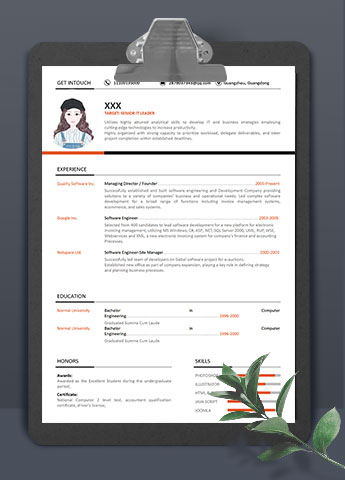 双色线条创意IT主管英文简历