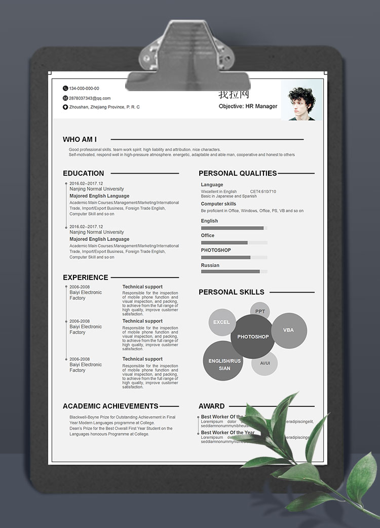 灰色线条人力资源主管英文简历模板