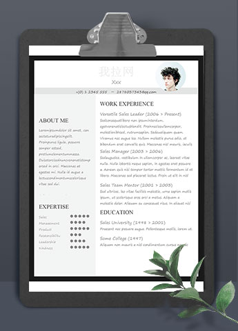 灰色大气通用英文简历