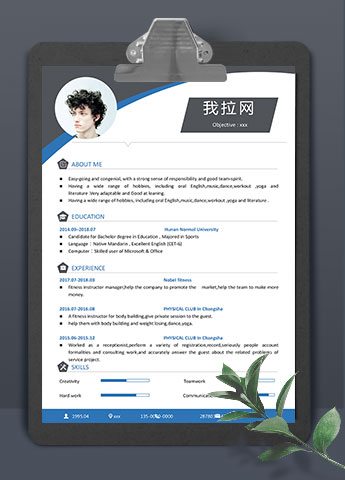简约大气风格通用英文简历