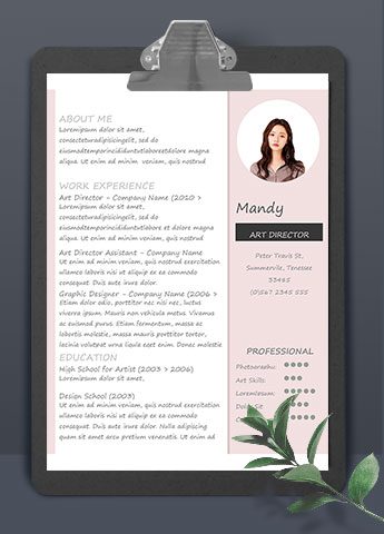 粉色精美风通用英文简历