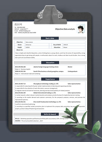 淡灰色极简风数据分析师英文简历