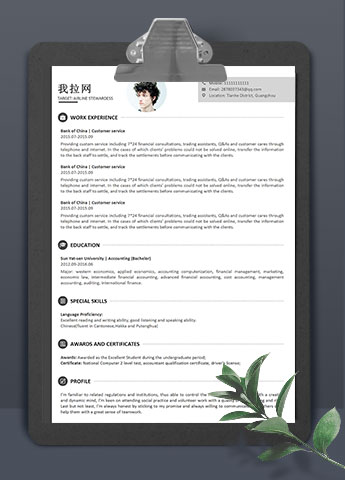 灰色经典风格空姐英文简历