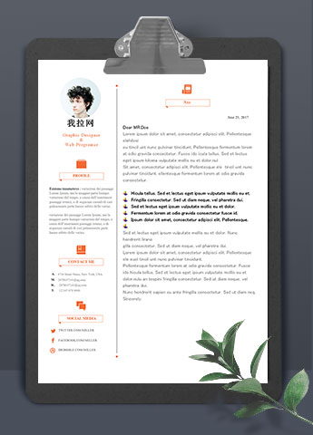 简约大气平面设计师英文简历