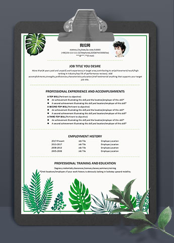 淡绿色芭蕉叶通用英文简历