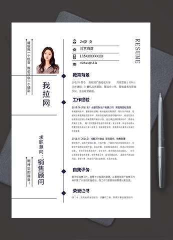 简洁商务风格销售顾问个人简历模板