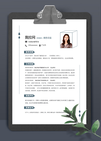创意简洁大方美观风商务总监简历模板